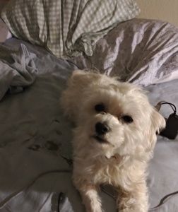 Meet your Posher, Jan